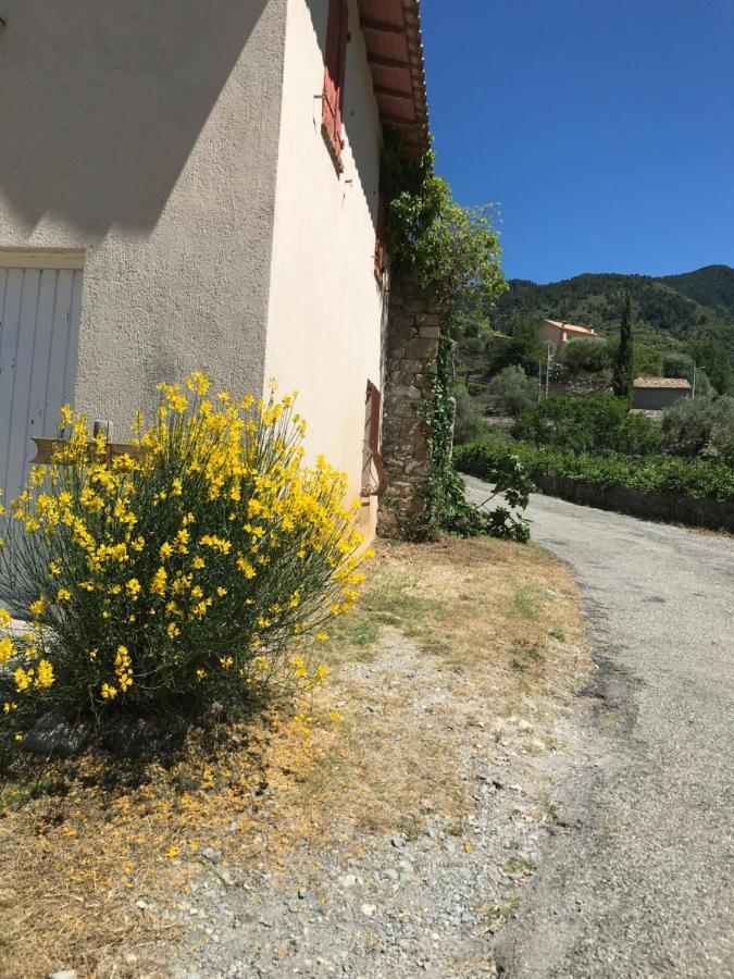 La Ferme Des Cailletiers Chez Marco Villa Lucéram Eksteriør billede